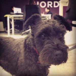 Tijs Vrolix Stockholm Fjord